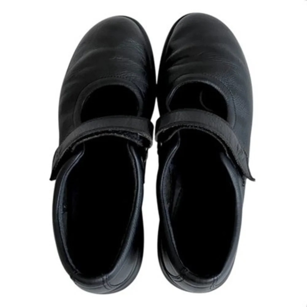 ECCO biom life